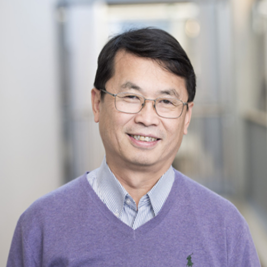 Photo of Maia Chankseliani, PhD